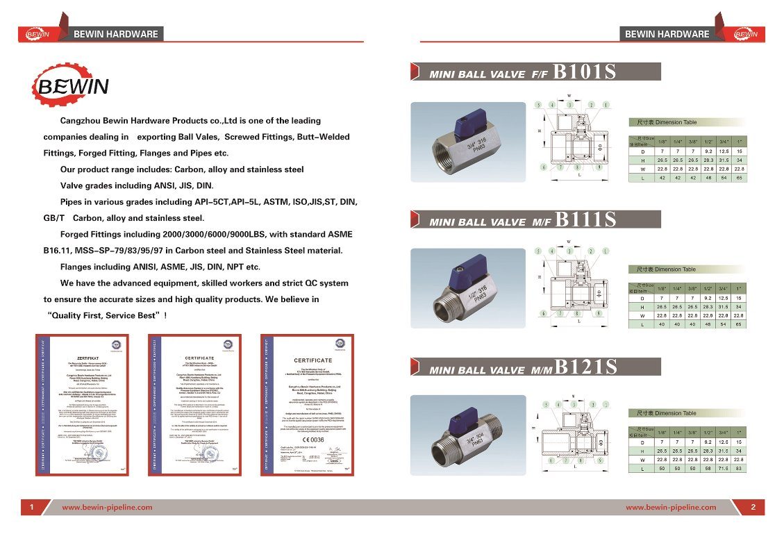 CANGZHOU-BEWIN-PIPELINE-CO-LTD- (28)