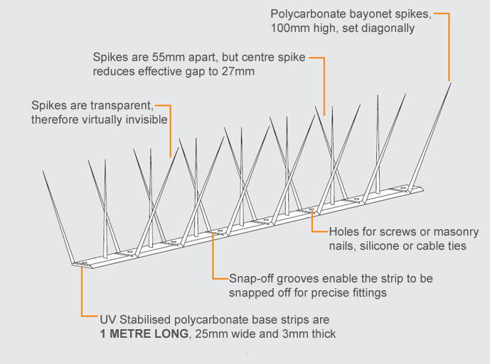 New design pigenon control spike plastic antibird spikes