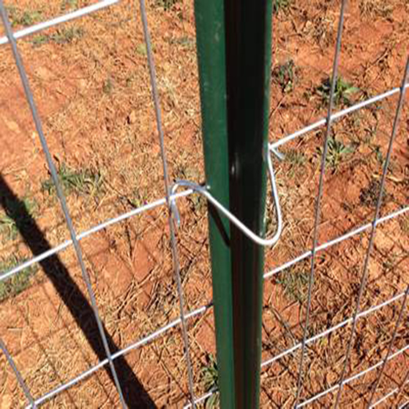 Green Painted Post Metal Fence Posts Galvanized Steel Post