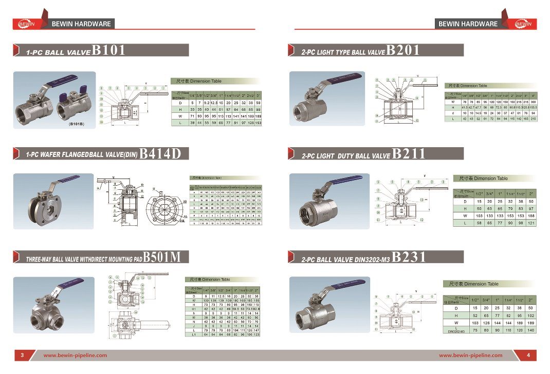 CANGZHOU-BEWIN-PIPELINE-CO-LTD- (24)